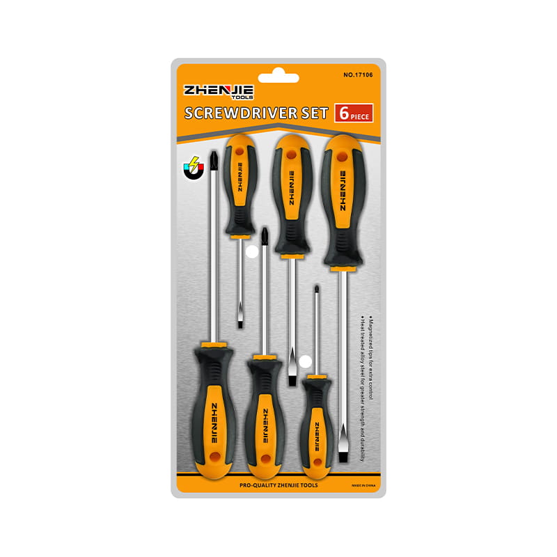 6pcs Double Blister Packaging Slotted & Phillips CRV Screwdriver Set